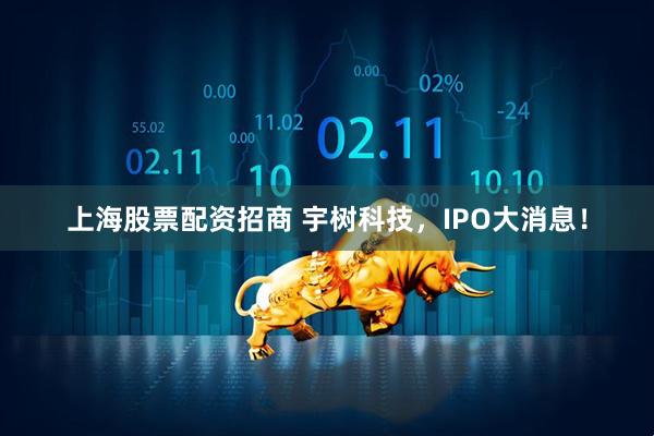 上海股票配资招商 宇树科技，IPO大消息！