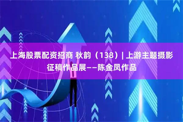 上海股票配资招商 秋韵（138）| 上游主题摄影征稿作品展——陈金凤作品