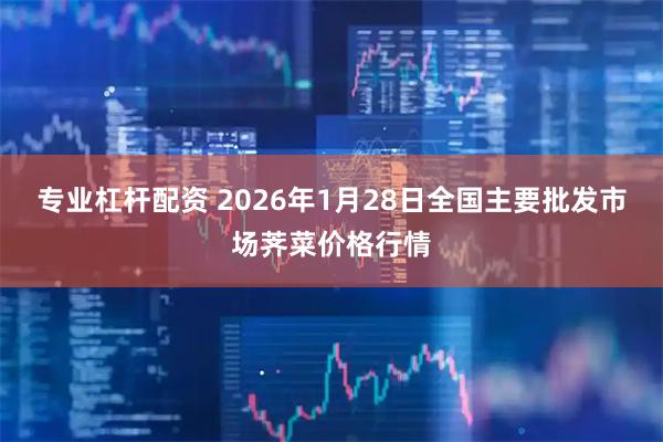 专业杠杆配资 2026年1月28日全国主要批发市场荠菜价格行情