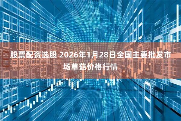 股票配资选股 2026年1月28日全国主要批发市场草菇价格行情