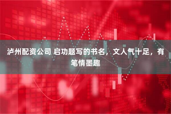 泸州配资公司 启功题写的书名,文人气十足,有笔情墨趣